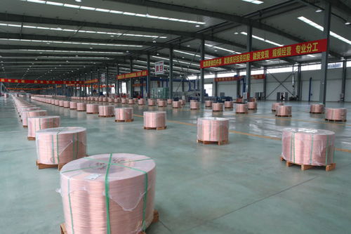 博羅 搶抓重大機(jī)遇 奮力邁進(jìn)縣域高質(zhì)量發(fā)展第一方陣