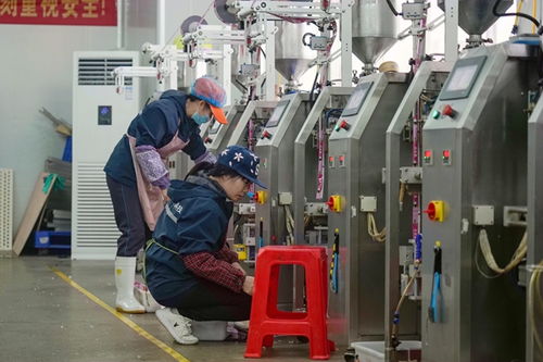 港北區打造高品質寵物飼料，擦亮農業產業品牌